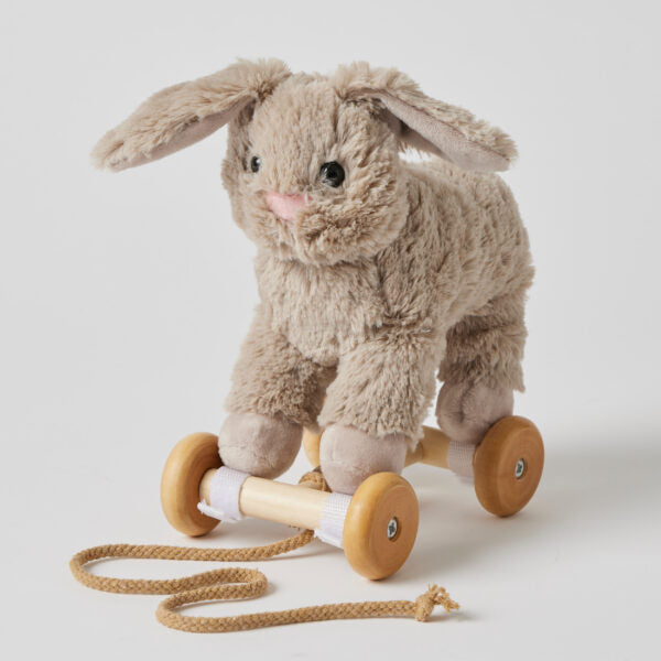 Plush Pull Along Bunny