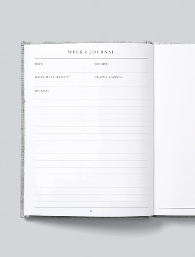 Bump A Pregnancy Story Oatmeal