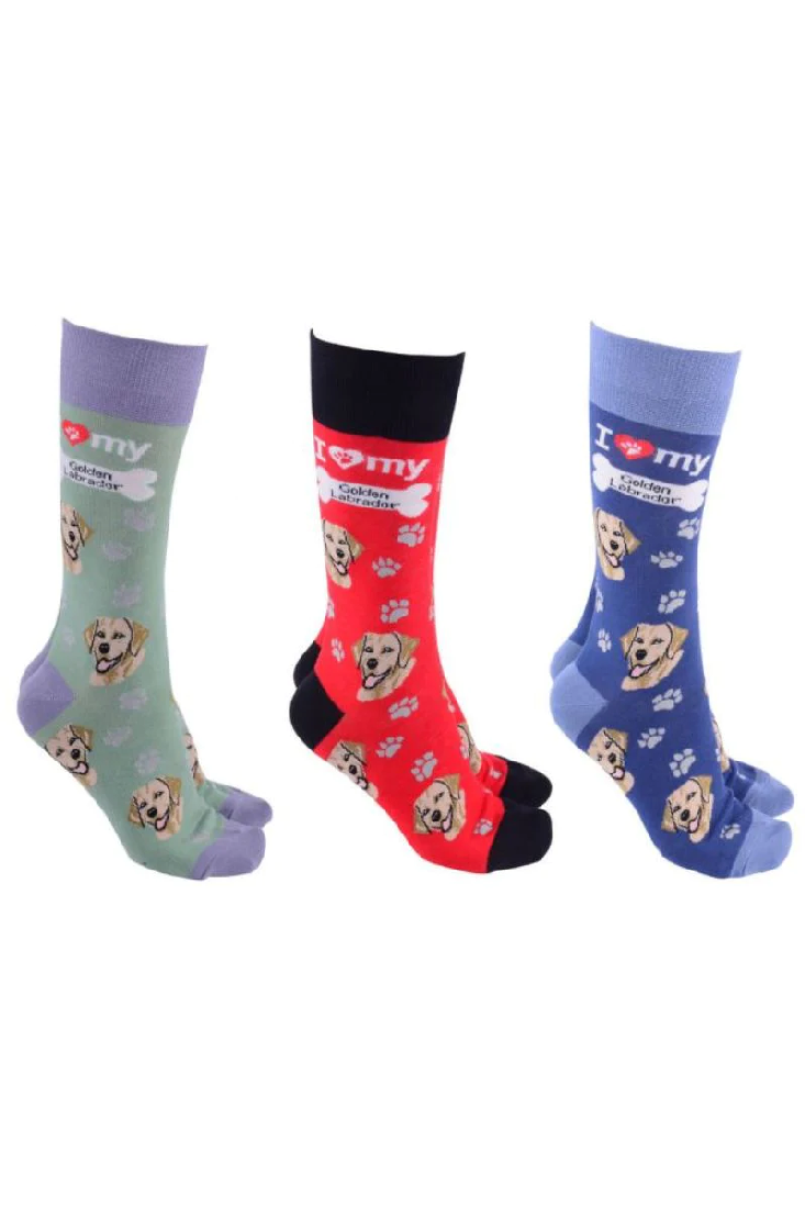 Dog Society Socks Golden Labrador