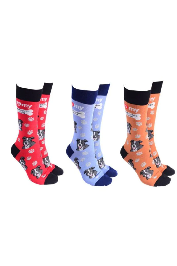 Dog Society Socks Staffy