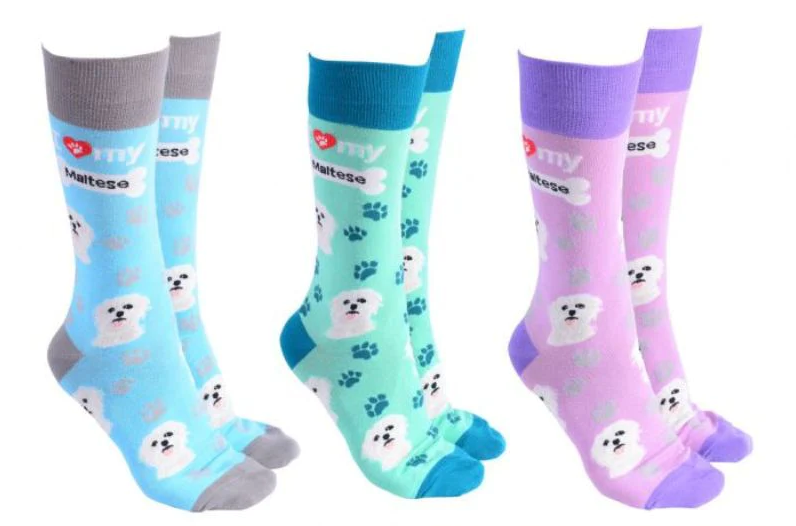 Dog Society Socks Maltese Terrier