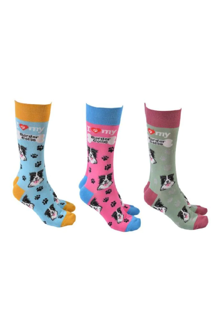 Dog Society Socks Border Collie