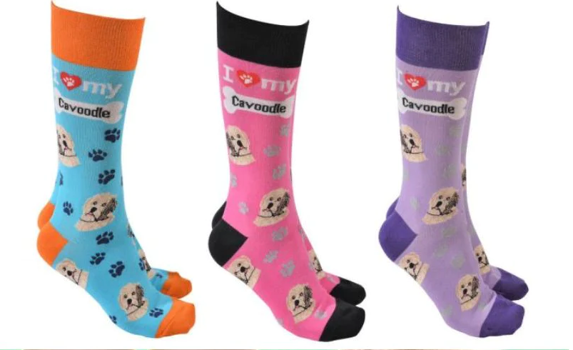 Dog Society Socks Cavoodle