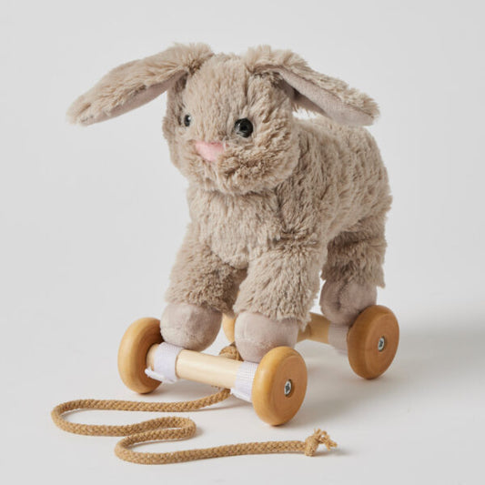 Plush Pull Along Bunny 