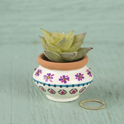 Succulent Cream And Navy