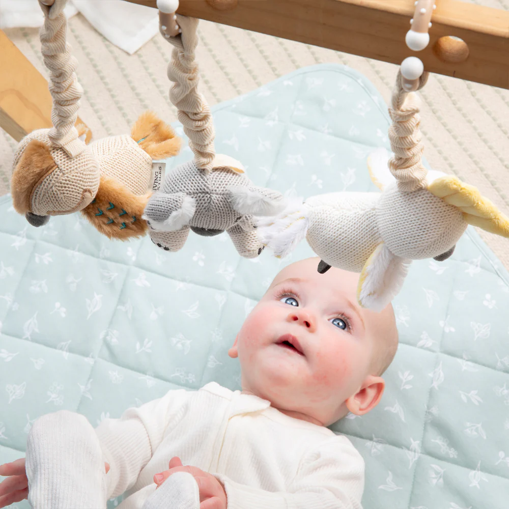 2pk Stroller Toy Koala & Cockatoo