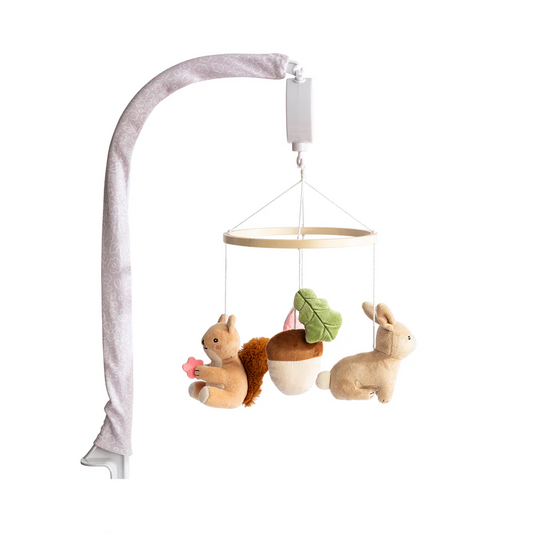 Musical Mobile Set Whimsical Wonderland