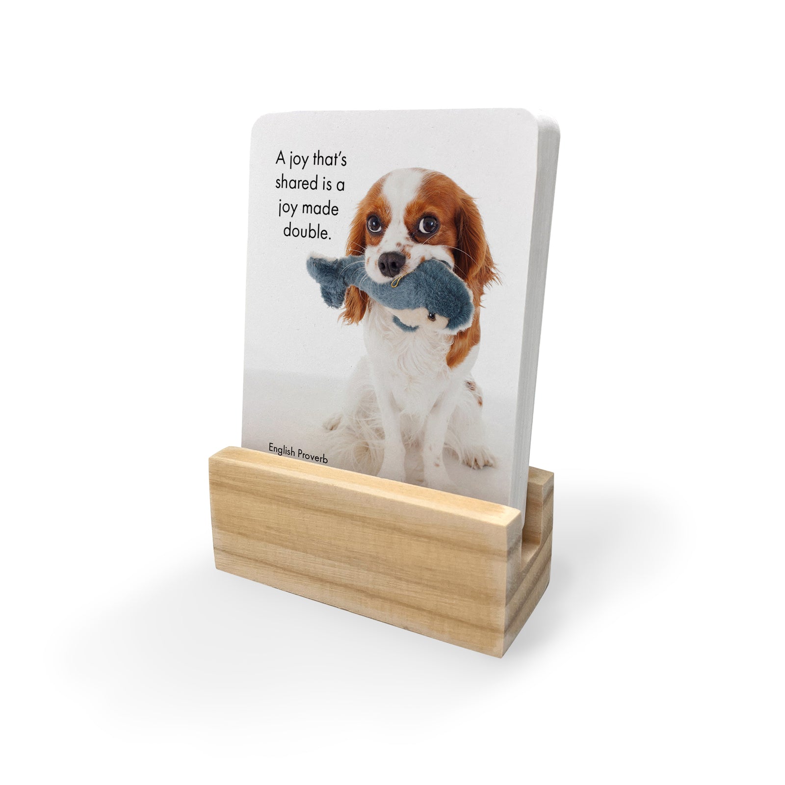 Live Love Bark Affirmations 