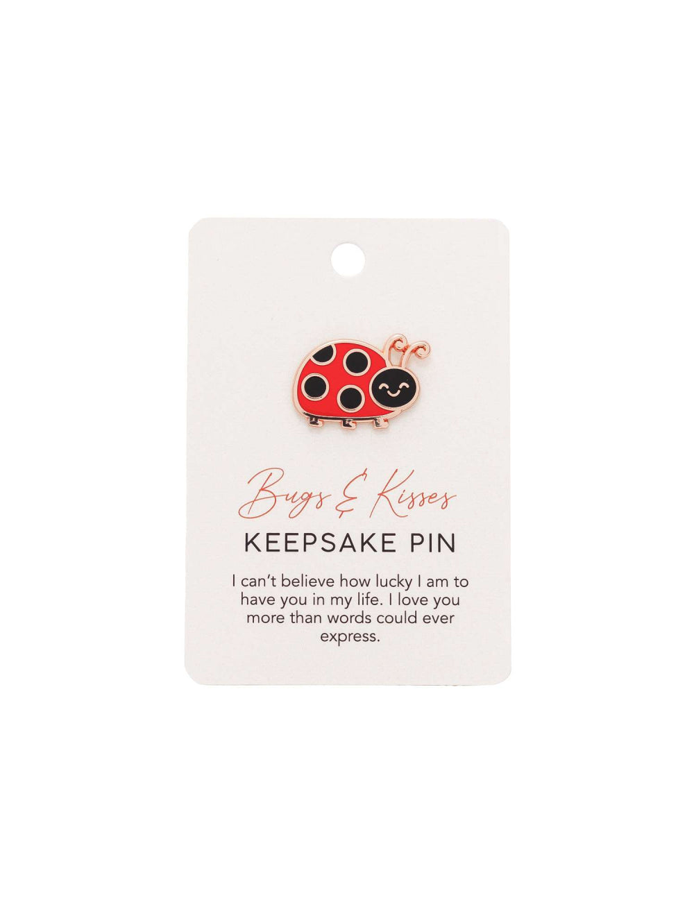 Valentines Day Ladybug Keepsake Pin