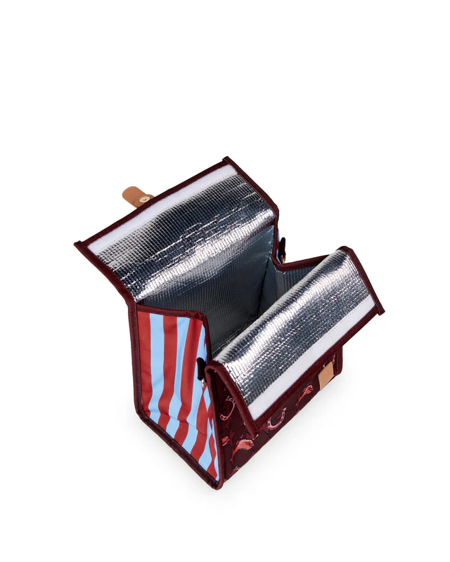 Lunch Satchel Aint My First Rodeo 