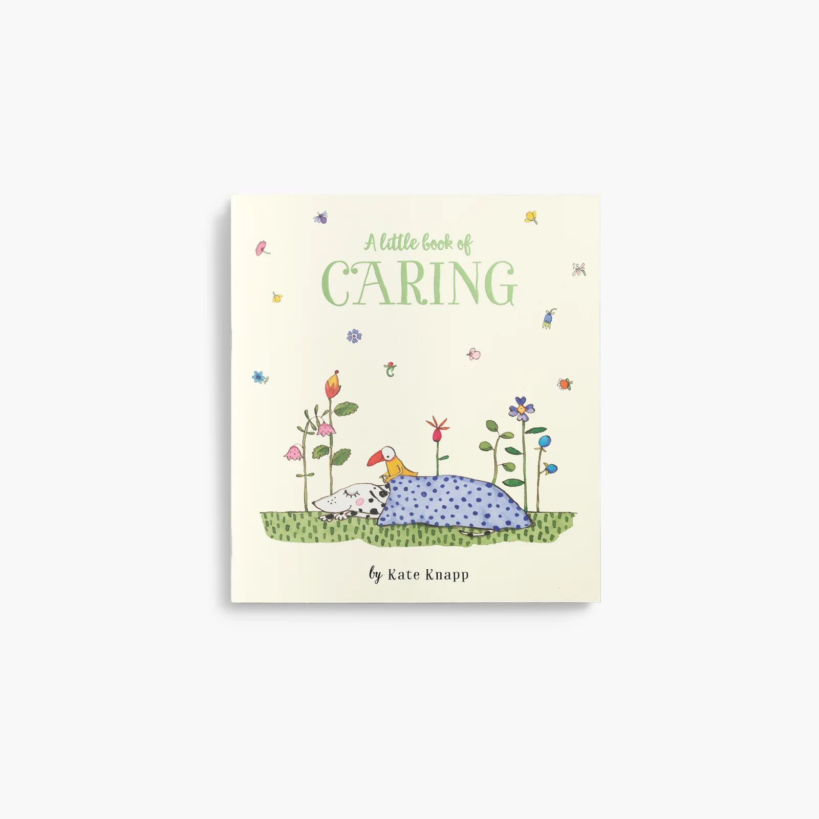 Little Book Of Caring 
