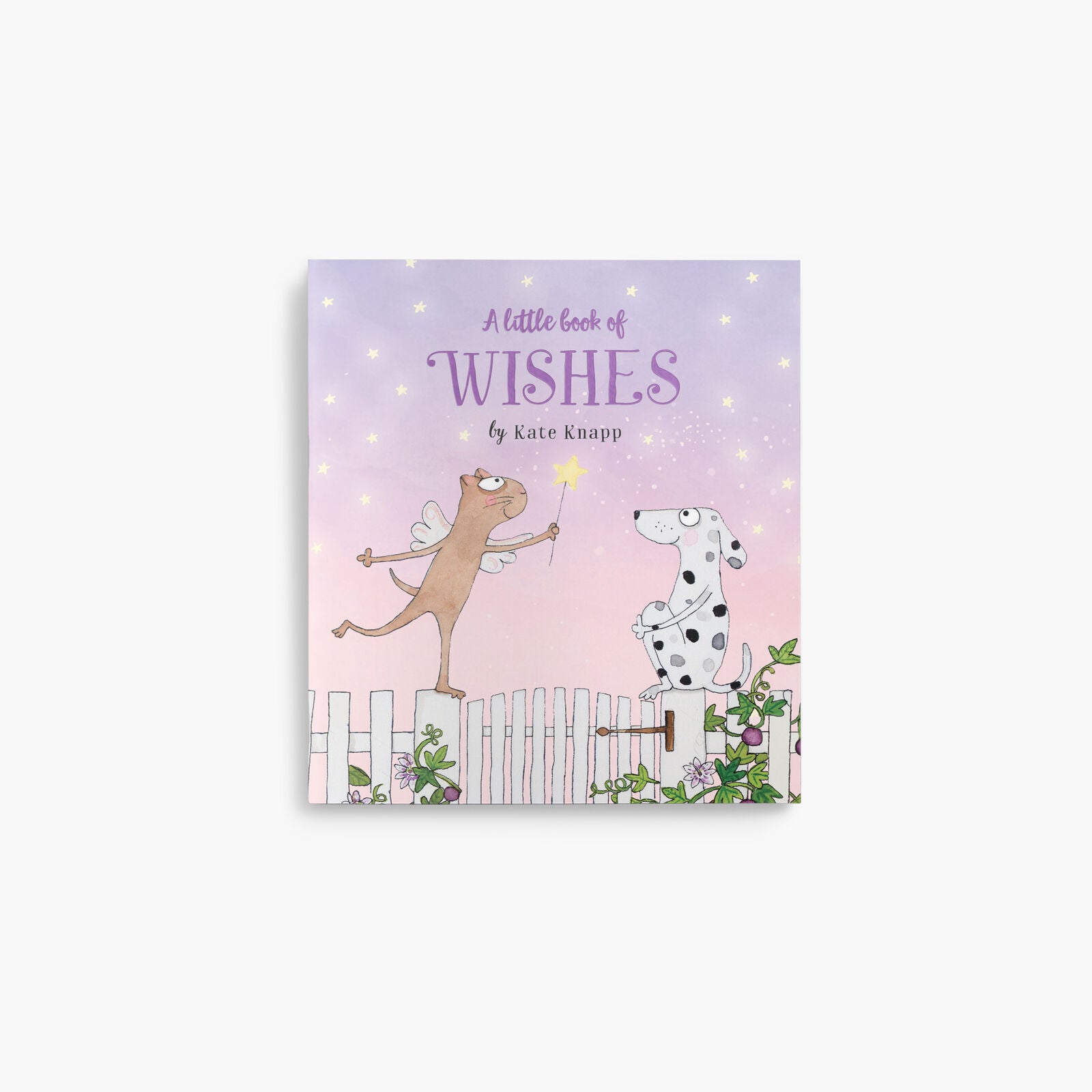 A Little Book Of Wishes 